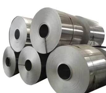 Hastelloy B -2 Metal glas bobin